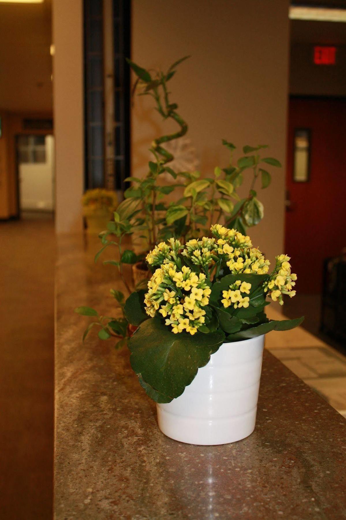 University Of Alberta - Hotel Edmonton Extérieur photo